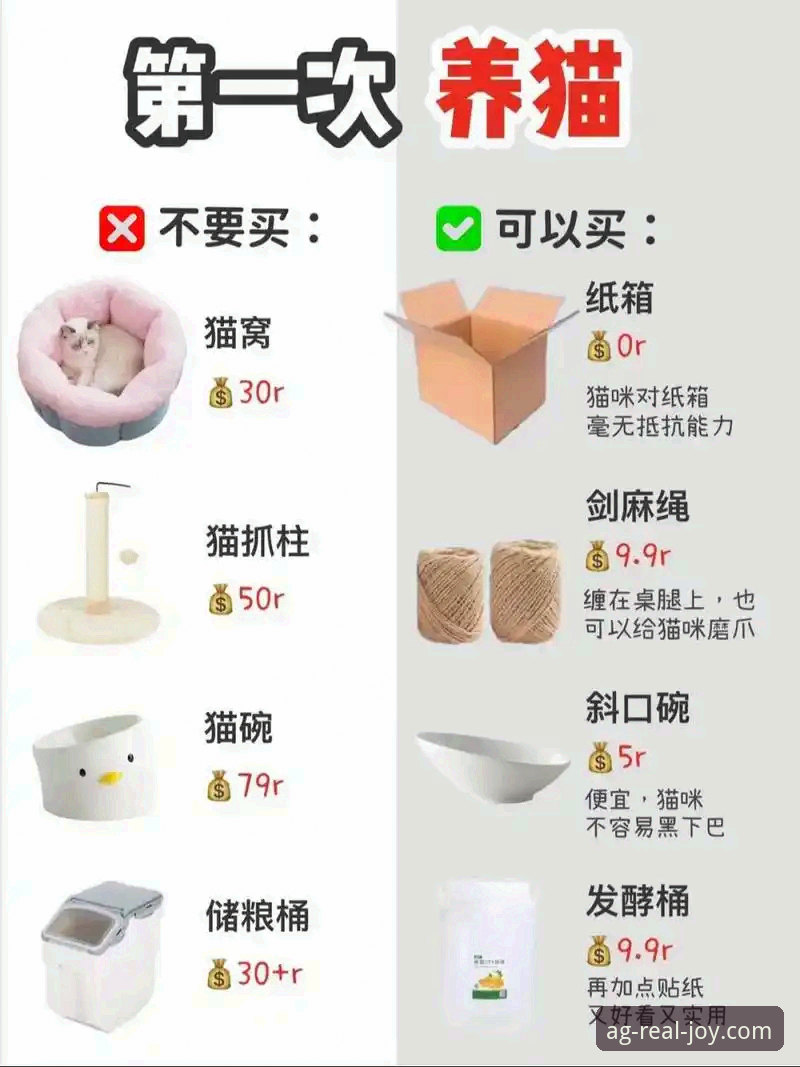 新手必看！ag真人百家乐安卓使用心得与安全下载实战经验